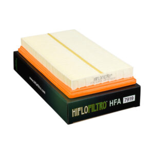 FILTRO DE AIRE HIFLOFILTRO HFA7919