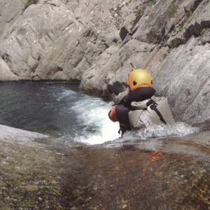 PETATE SHAD TRASERO IMPERM. SW38