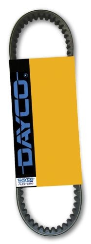 Correa transmisión Dayco Yamaha Rhino 660