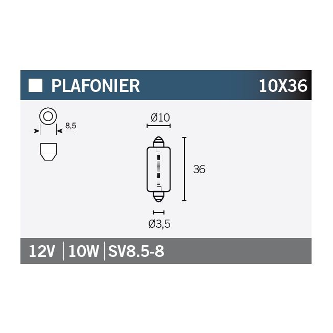 LAMPARA SV8.5-8 12V10W