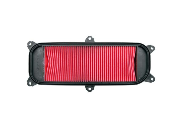 Filtro aire People S 250/300