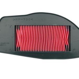 Filtro de aire Yamaha Cygnus