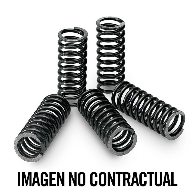 Kit de Muelles de Embrague Suzuki/Varios