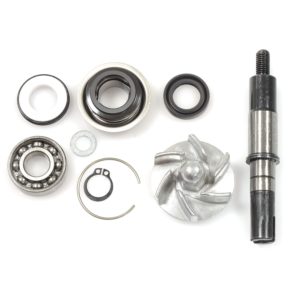 Kit de reparación bomba de agua Daelim S3 125