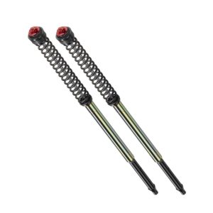 Muelles + cartuchos + ajustes de horquilla ajustable Sport Bitubo T0018ABB09WO