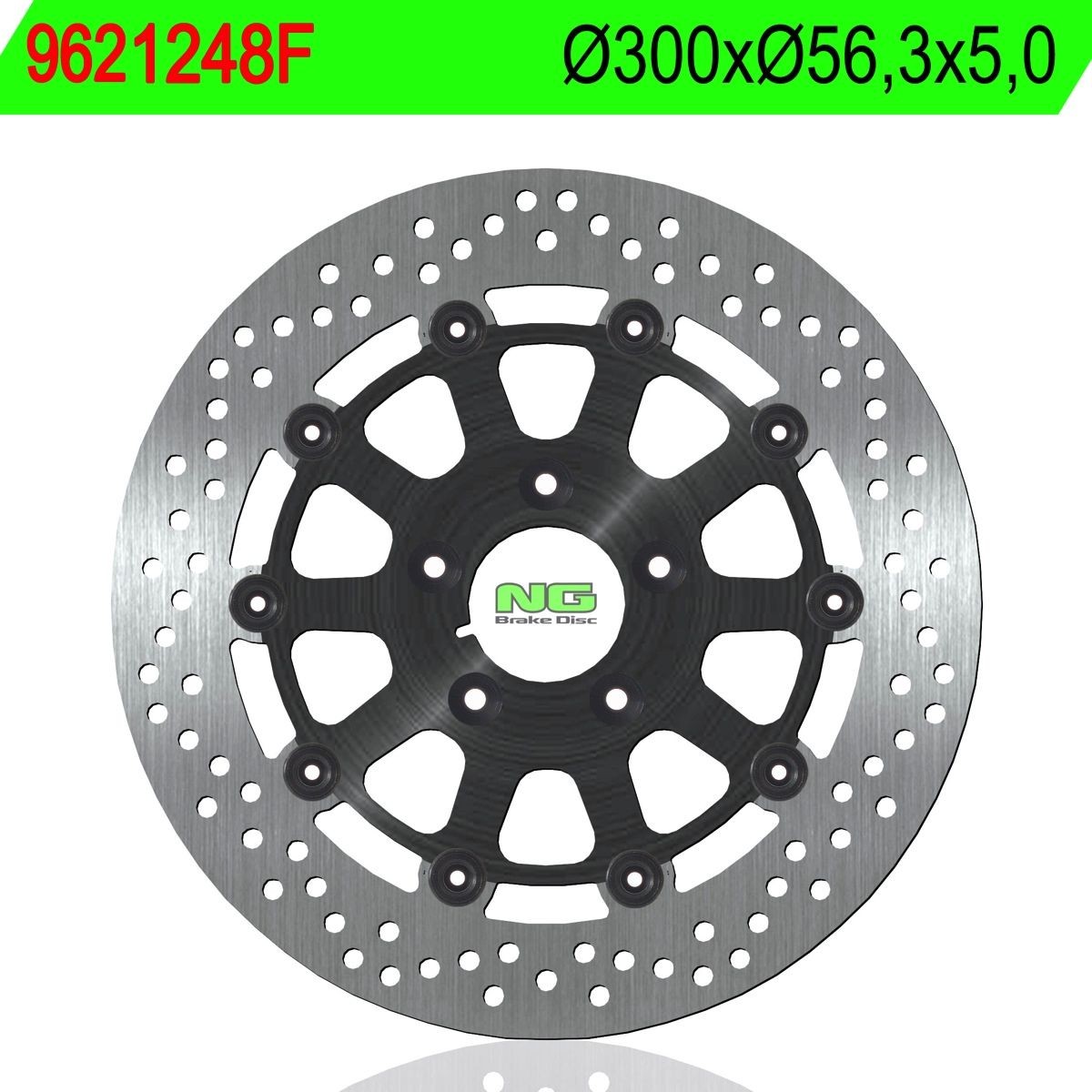 Disco de freno NG flotante 1248F Ø300 x Ø56.35 x 5
