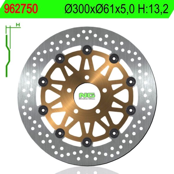 Disco de freno NG 750 Ø300 x Ø61 x 5