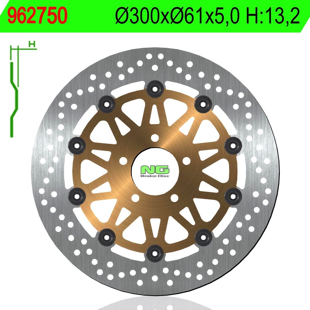 Disco de freno NG 750 Ø300 x Ø61 x 5