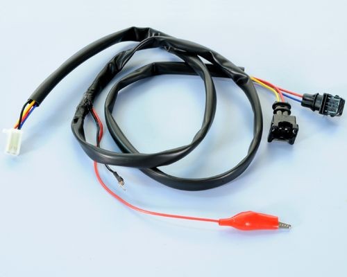 Cableado ECU POLINI PIAGGIO-VESPA 125-350 4T ie (1710203)