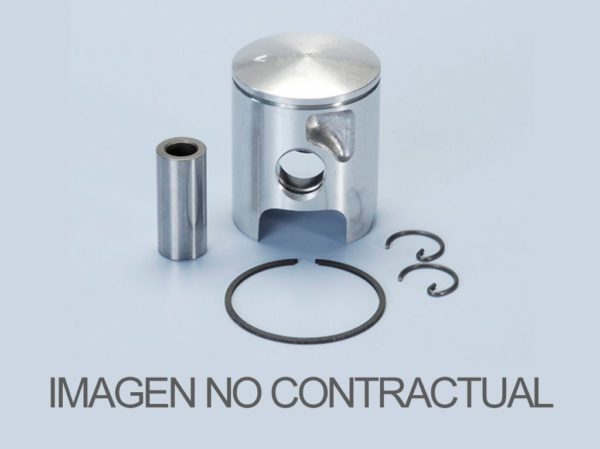 PISTON POLINI QUARTZ-ZIP D.47,6 LETRA C 204.0697/C