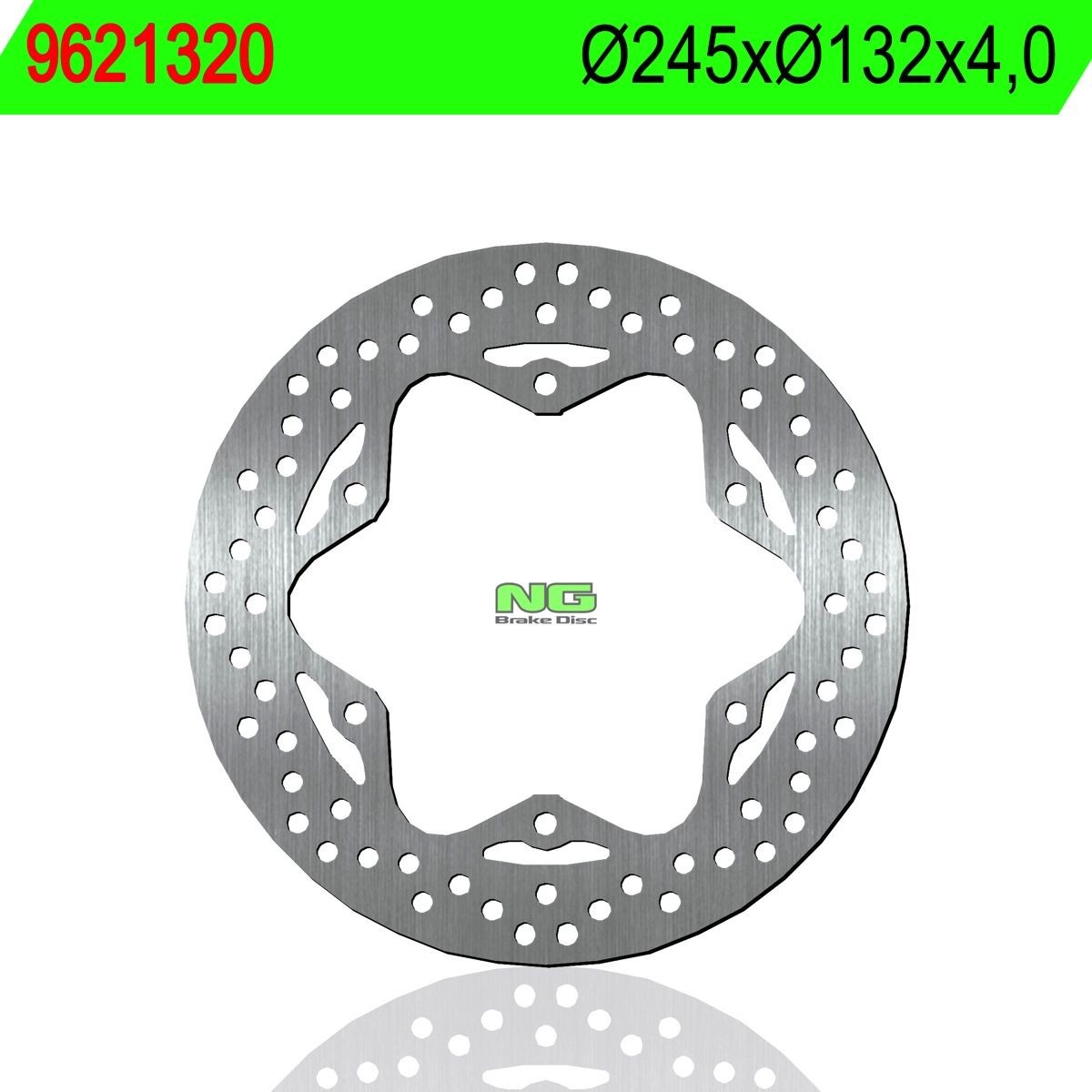 Disco de freno NG 1320 Ø245 x Ø132 x 4
