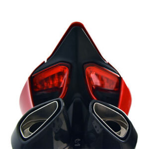 Termignoni 1 Silenciador Derecho DUCATI PANIGALE 1199